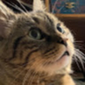 Meet your Posher, Ajax